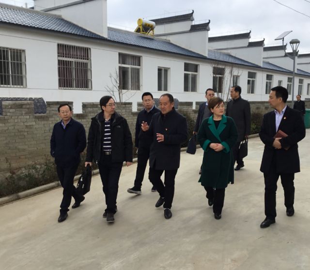 中组部调研组莅临蓝田县调研基层党建工作
